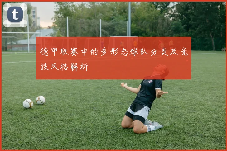 德甲联赛中的多形态球队分类及竞技风格解析
