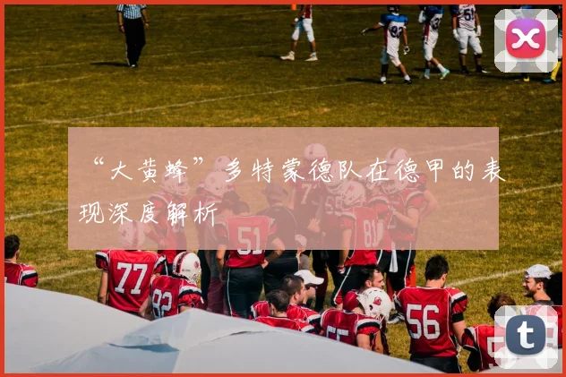 “大黄蜂”多特蒙德队在德甲的表现深度解析