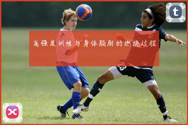高强度训练与身体脂肪的燃烧过程