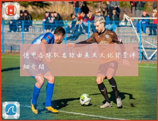德甲各球队名称由来及文化背景详细介绍